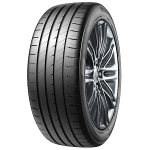 295/35 R21 XL 107W TL ECOBLUE EV C-B-2
